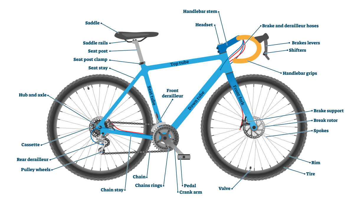 Anatomie d'un vélo : schéma et pièces